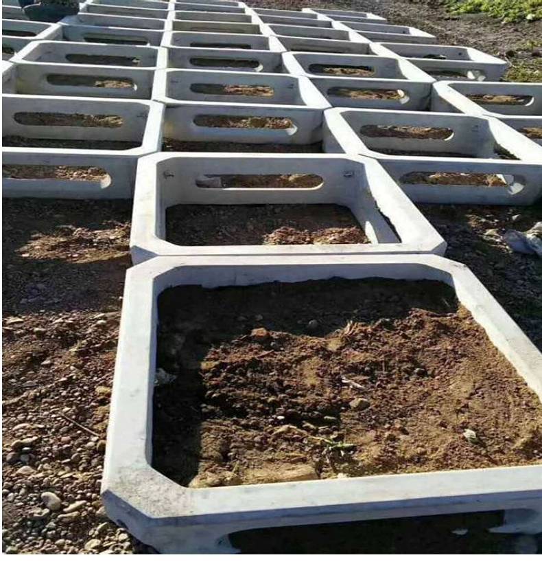 河道生態(tài)框